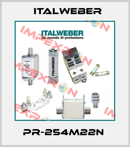 PR-254M22N  Italweber