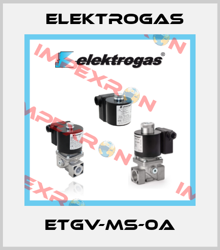 ETGV-MS-0A Elektrogas