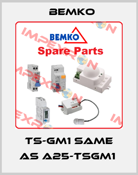 TS-GM1 same as A25-TSGM1  Bemko