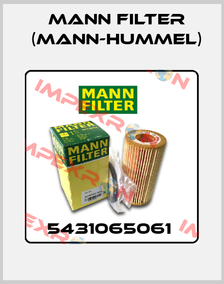 5431065061  Mann Filter (Mann-Hummel)