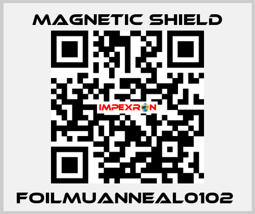 FOILMUANNEAL0102  Magnetic Shield