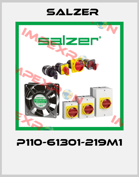 P110-61301-219M1  Salzer