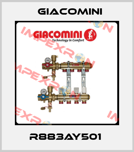 R883AY501  Giacomini