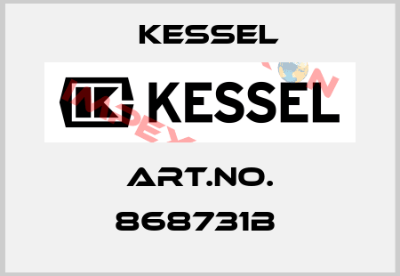 Art.No. 868731B  Kessel
