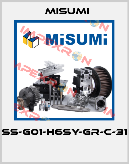 SS-G01-H6SY-GR-C-31  Misumi
