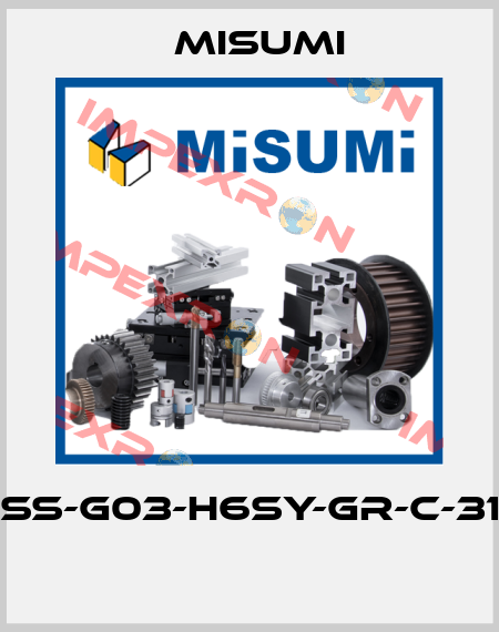 SS-G03-H6SY-GR-C-31  Misumi