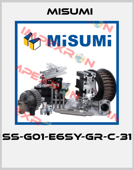SS-G01-E6SY-GR-C-31  Misumi