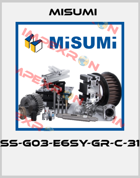 SS-G03-E6SY-GR-C-31  Misumi