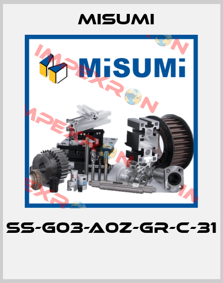 SS-G03-A0Z-GR-C-31  Misumi