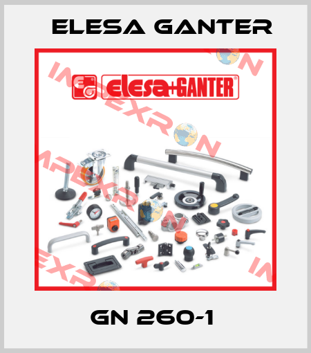 GN 260-1  Elesa Ganter