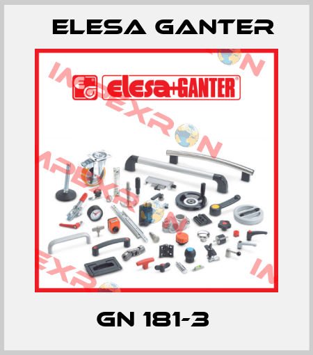 GN 181-3  Elesa Ganter