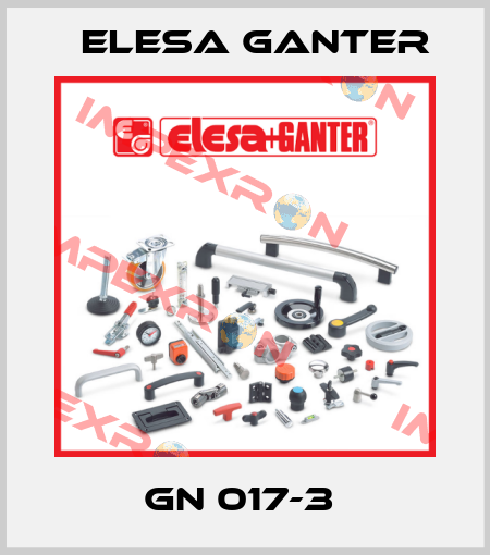 GN 017-3  Elesa Ganter