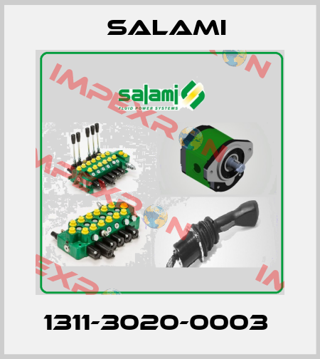 1311-3020-0003  Salami