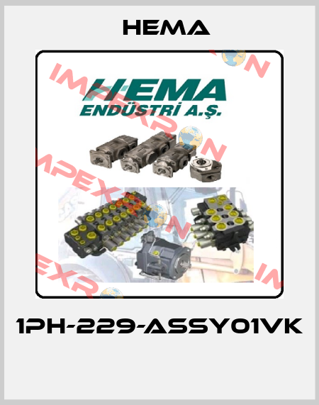 1PH-229-ASSY01VK  Hema