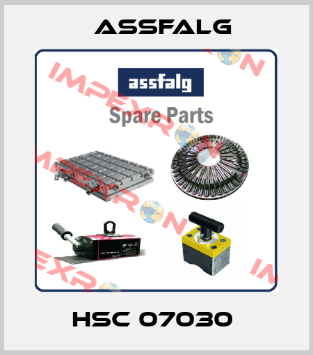 HSC 07030  Assfalg