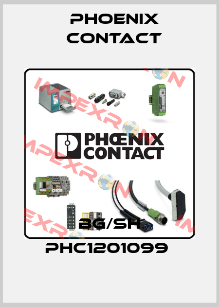 BG/SH PHC1201099  Phoenix Contact