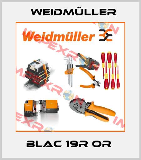 BLAC 19R OR  Weidmüller