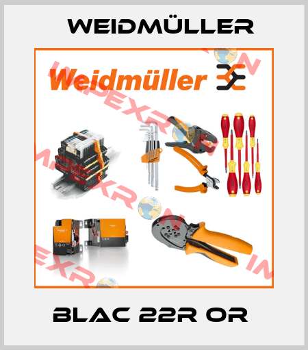 BLAC 22R OR  Weidmüller