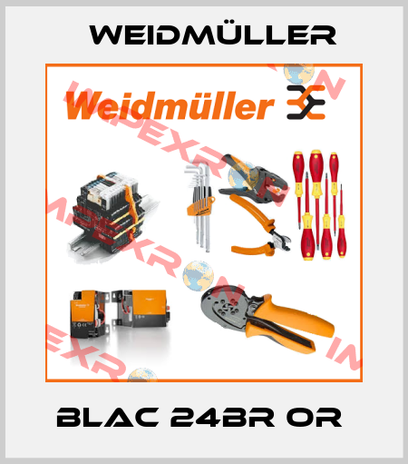 BLAC 24BR OR  Weidmüller