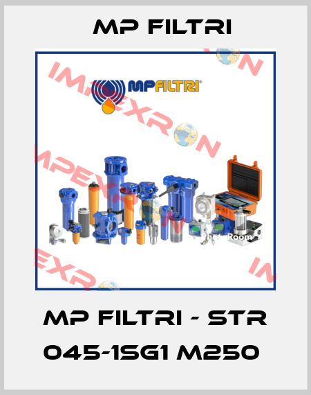 MP Filtri - STR 045-1SG1 M250  MP Filtri