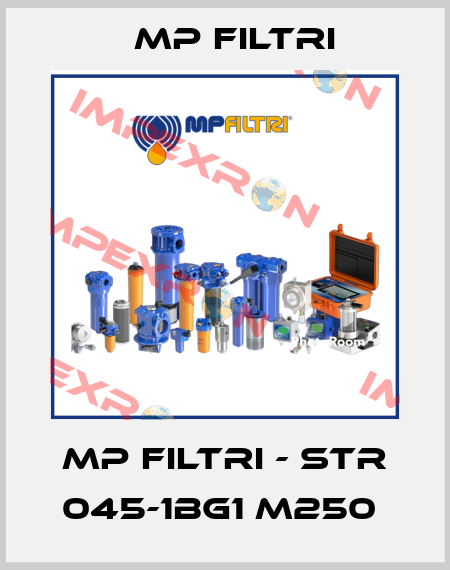 MP Filtri - STR 045-1BG1 M250  MP Filtri