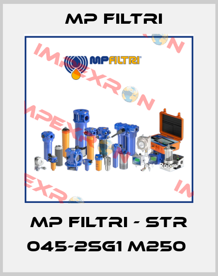 MP Filtri - STR 045-2SG1 M250  MP Filtri