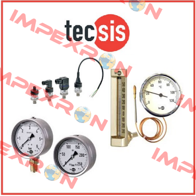 P1611B042904  Tecsis (WIKA Group)