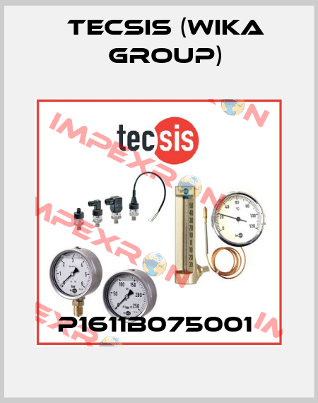P1611B075001  Tecsis (WIKA Group)