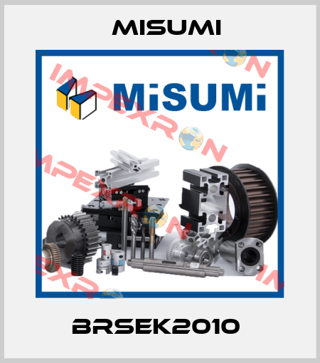 BRSEK2010  Misumi