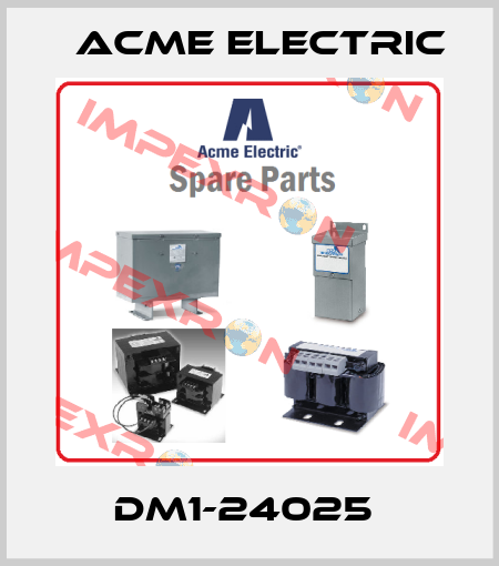 DM1-24025  Acme Electric