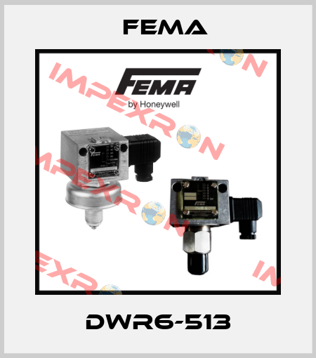 DWR6-513 FEMA