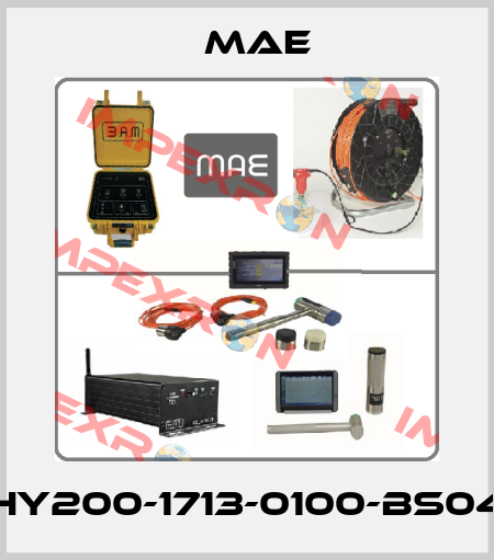 HY200-1713-0100-BS04 Mae