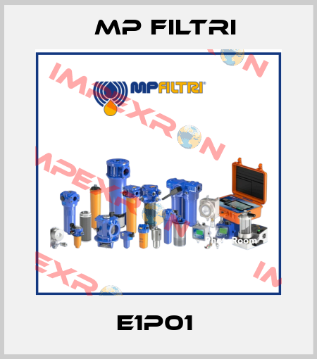 E1P01  MP Filtri