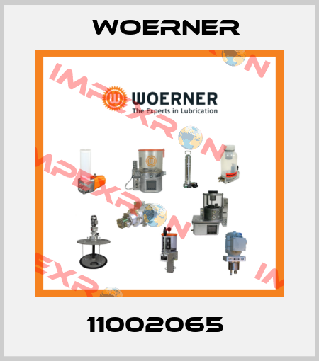 11002065  Woerner