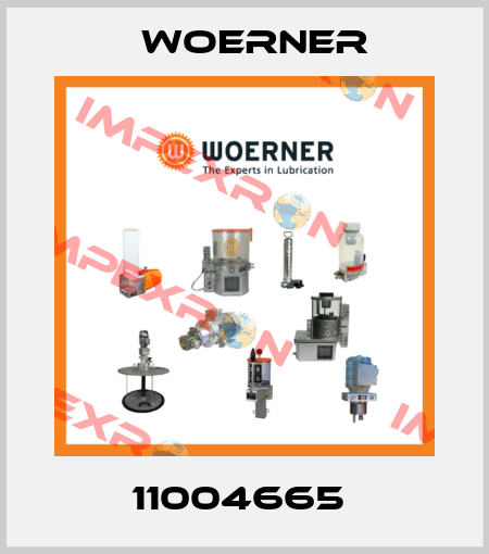 11004665  Woerner
