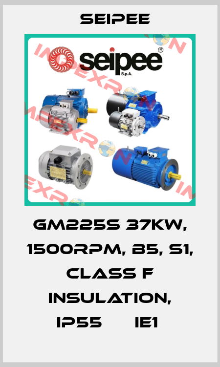 GM225S 37KW, 1500RPM, B5, S1, CLASS F INSULATION, IP55      IE1  SEIPEE