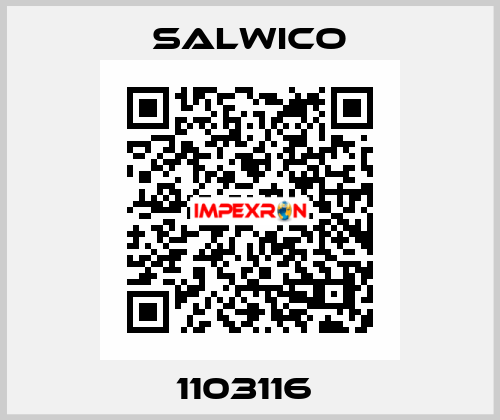 1103116  Salwico