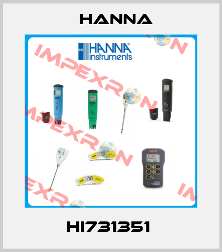 HI731351  Hanna