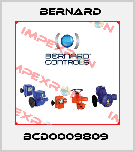 BCD0009809  Bernard