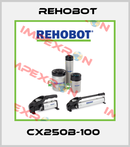 CX250B-100  Rehobot