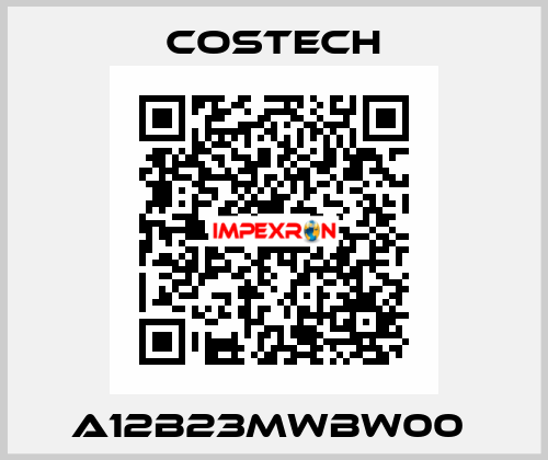 A12B23MWBW00  Costech