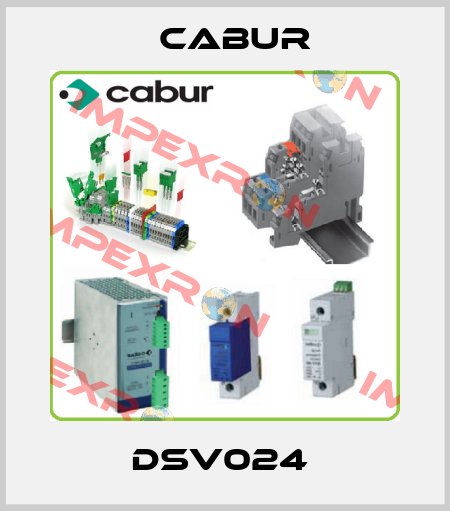 DSV024  Cabur