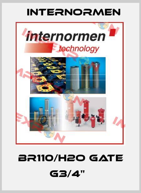 BR110/H2O GATE G3/4"   Internormen