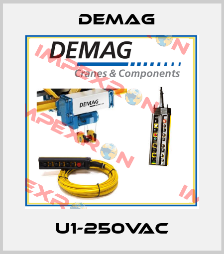 U1-250VAC Demag