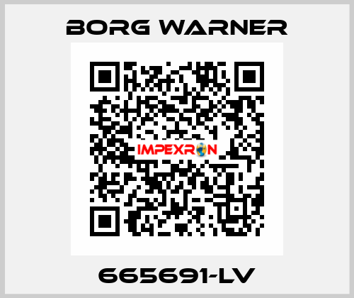 665691-LV Borg Warner