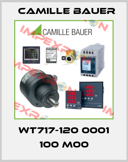 WT717-120 0001 100 M00 Camille Bauer