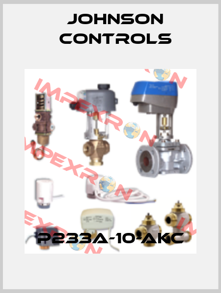 P233A-10-AKC Johnson Controls