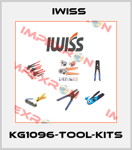 KG1096-tool-kits IWISS