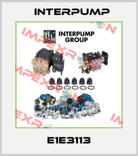 E1E3113 Interpump