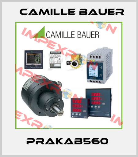 PRAKAB560  Camille Bauer